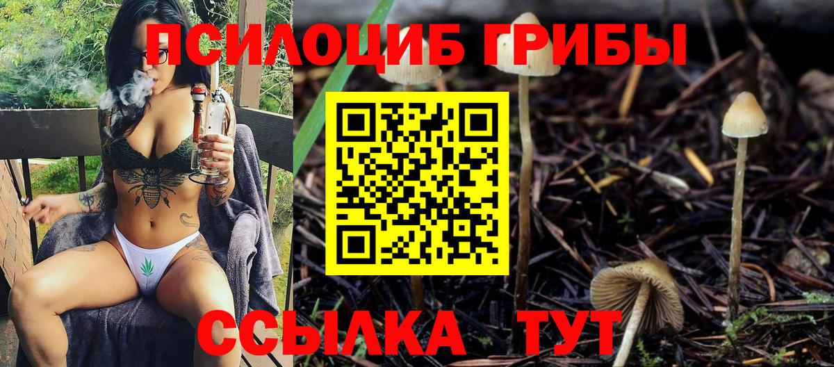 Чехов  Галлюциногенные грибы Cubensis  Вход с VPN 